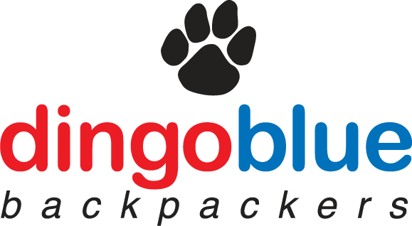dingoblue_logo